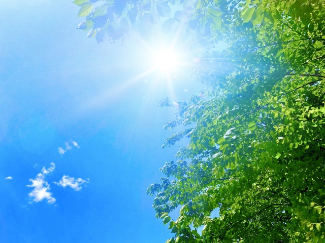 夏の暑さ対策に効果的！内窓リフォームで涼しく快適な住まいへ